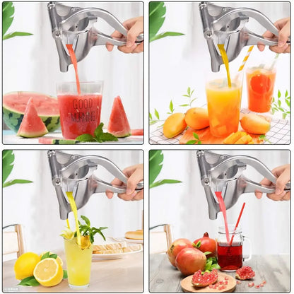 Hand Pressed Fruit Juicer